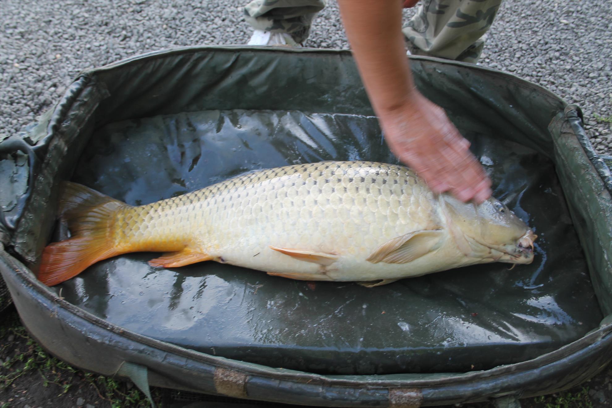 Nagykallo 28aug-01sep 2013 - nagykallo-2014-101.JPG